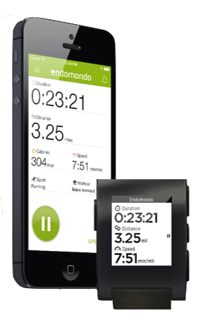 endomondo-pebble