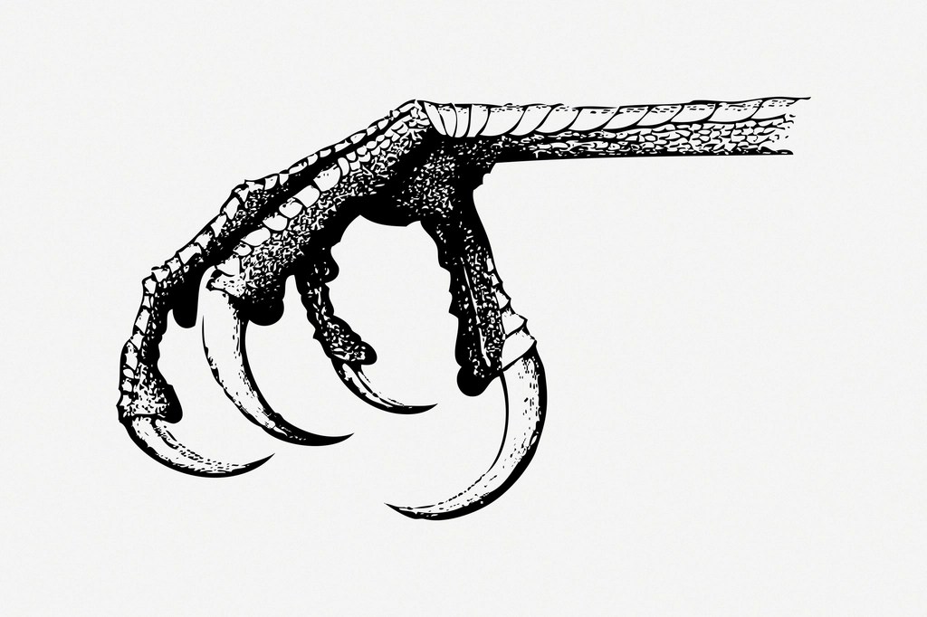 LLM15 – A Rant on Claws and Skills